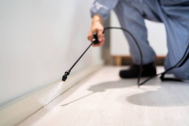 Licensed Pest Control service in Sunnyside, WA - Show Me Pest Control