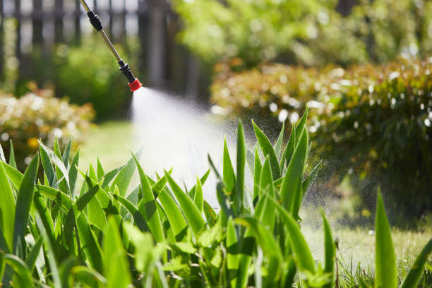 24/7 Emergency Mosquito Control experts in Sunnyside, WA